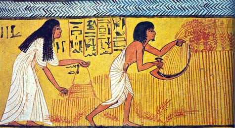 Abeja, jeroglífico egipcio en piedra