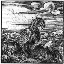 Aguila. Horapolo, Hieroglyphica, 1505.