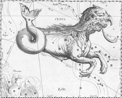 Cetus, constelación de la Ballena