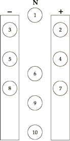 Árbol de la Vida, tres columnas, activa, pasiva y neutra