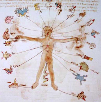 El cuerpo humano y los veinte signos dell calendario azteca. Códice Vaticano-Ríos