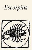 Escorpión, signo del zodíaco