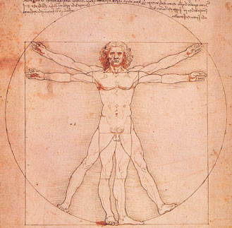 Proporciones de la figura humana según Vitrubio