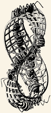Cinta de Möebius. Dibujo de M. C. Escher, 1963