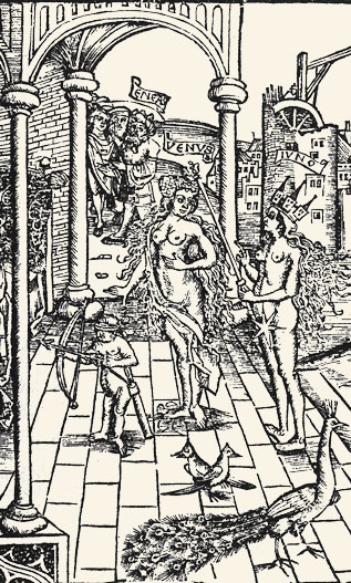 Venus y Juno con sus aves emblemáticas. 
Sebastian Brand, La Eneida. Estrasburgo, 1502.