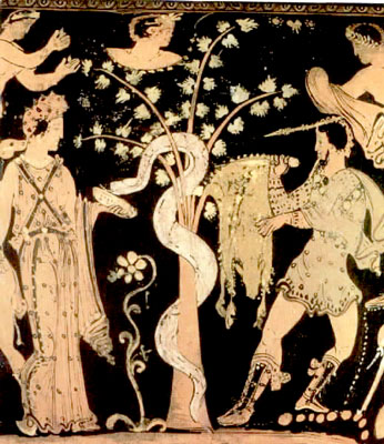 Medea, Jasón, el Dragón y el Vellocino de Oro.