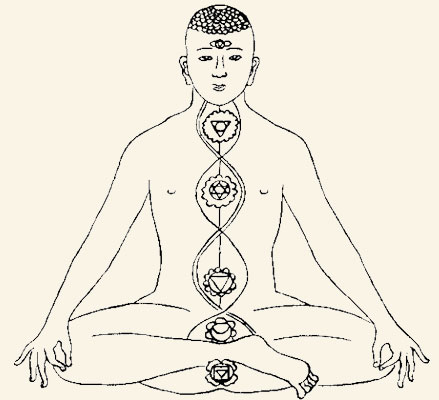 Ida, Pingala y Sushumna a través de los chakras.
Lama Govinda, The Foundations of Tibetan Mysticism.