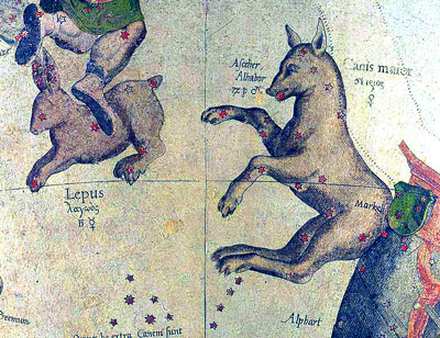 Constelaciones del Can Mayor y la Liebre.
