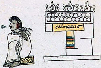 Sacerdote náhuatl enseñando. Códice Mendoza, parte III.