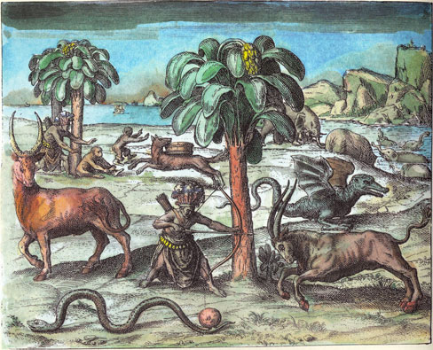 Animales. Teodoro de Bry, Asia y África (1597-1628).