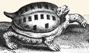 Tortuga. Athanasius Kircher, "China", 1667.